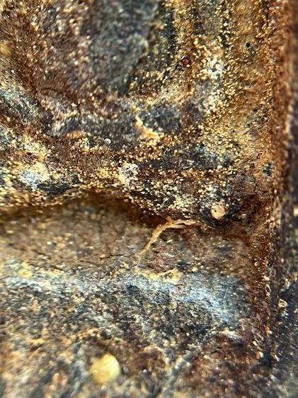 หลวงปู่ทวด พิมพ์กลัดไม้ขีด เนื้อว่าน พ.ศ.2497 รูปที่ 8