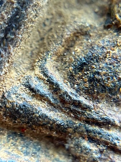 หลวงปู่ทวด พิมพ์กลัดไม้ขีด เนื้อว่าน พ.ศ.2497 รูปที่ 6