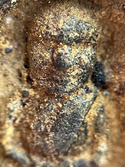 หลวงปู่ทวด พิมพ์กลัดไม้ขีด เนื้อว่าน พ.ศ.2497 รูปที่ 5