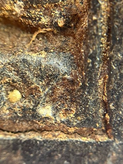 หลวงปู่ทวด พิมพ์กลัดไม้ขีด เนื้อว่าน พ.ศ.2497 รูปที่ 13