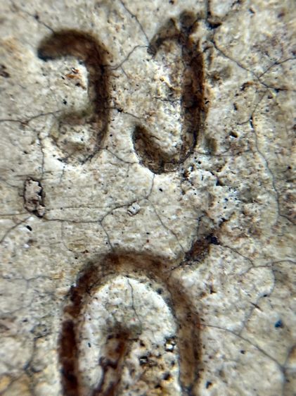 พระสมเด็จวัดระฆัง พิมพ์พุฒซ้อน รูปที่ 14