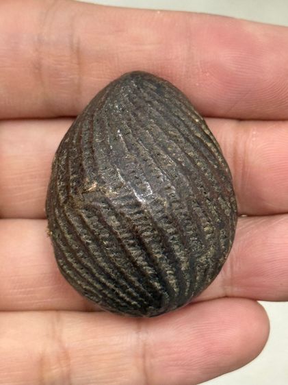 พระบ้าน