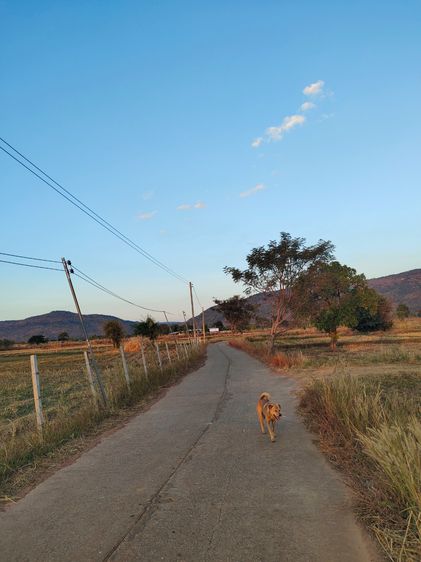 ที่ดินอำเภอเขาวง จังหวัดกาฬสินธุ์  วิวเขา ใกล้วัดพระธาตุหมื่นหิน หลวงปู่ศิลา