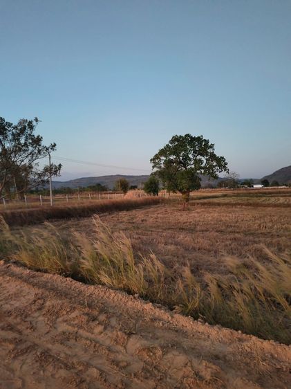ที่ดินใกล้วัดพระธาตุหมื่นหิน หลวงปู่ศิลา วิวเขา เจ้าของขายเอง