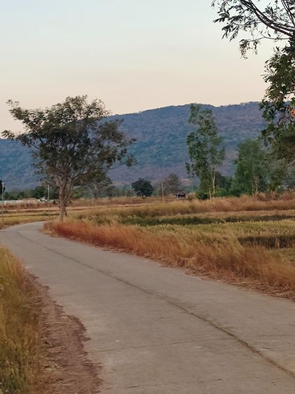 ที่ดินใกล้วัดพระธาตุหมื่นหิน หลวงปู่ศิลา วิวเขา เจ้าของขายเอง รูปที่ 4