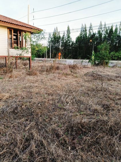 ที่ดินเปล่าถมแล้วขนาด1ไร่3งาน81ตร.ว. 