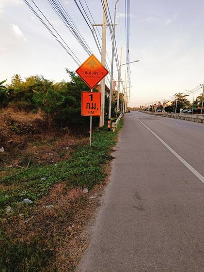 ที่ดินเปล่าถมแล้วขนาด1ไร่3งาน81ตร.ว.  รูปที่ 4