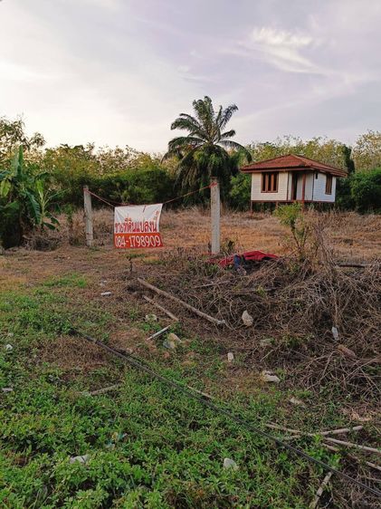 ที่ดินเปล่าถมแล้วขนาด1ไร่3งาน81ตร.ว.  รูปที่ 2