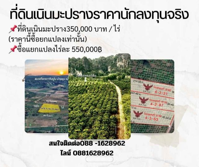 ใช่ ที่ดินโฉนดครุฑแดงวิวเขาล้อมรอบ รูปที่ 4