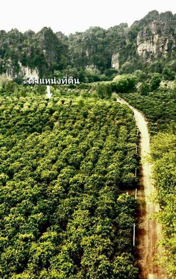 ใช่ ที่ดินโฉนดครุฑแดงวิวเขาล้อมรอบ รูปที่ 3