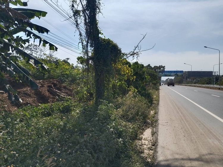 ที่ดินติดถนนสี่เลน รูปที่ 2