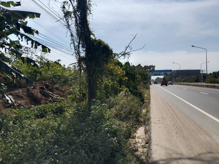 ที่ดินติดถนนสี่เลน