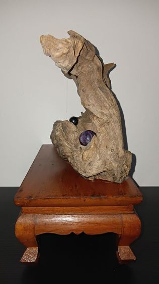 ฐานไม้สัก รากไม้พยุง พุทธปฏิมากรรม ตามภาพ รูปที่ 12