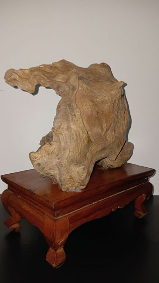 ฐานไม้สัก รากไม้พยุง พุทธปฏิมากรรม ตามภาพ รูปที่ 11