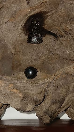 ฐานไม้สัก รากไม้พยุง พุทธปฏิมากรรม ตามภาพ รูปที่ 17