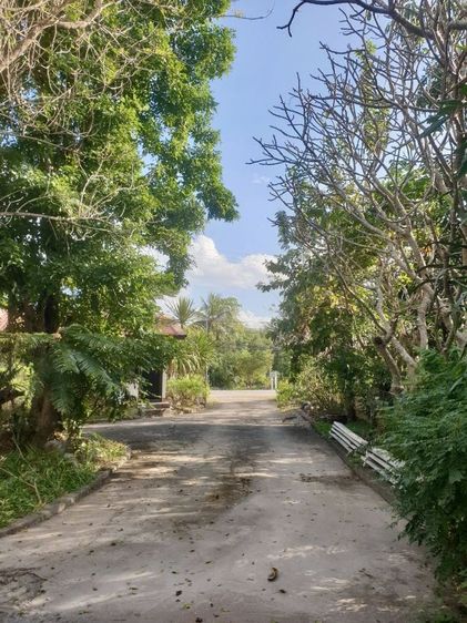 ขายบ้านพร้อมคลีนิค รูปที่ 3