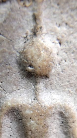 พระสมเด็จวัดระฆัง บางขุนพรหม เกศไชโย หลวงปู่ภู หลวงปู่นาค รูปที่ 4