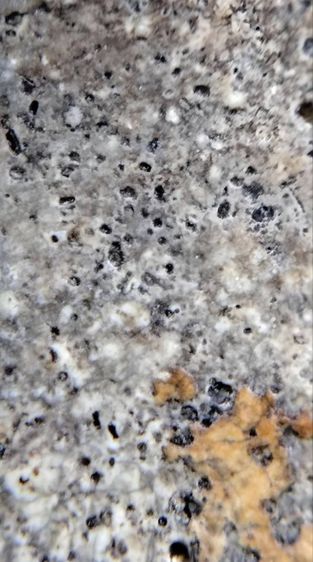 พระสมเด็จวัดระฆัง บางขุนพรหม เกศไชโย หลวงปู่ภู หลวงปู่นาค รูปที่ 11