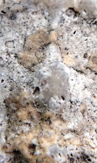 พระสมเด็จวัดระฆัง บางขุนพรหม เกศไชโย หลวงปู่ภู หลวงปู่นาค รูปที่ 12