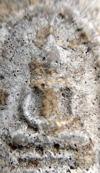 พระสมเด็จวัดระฆัง บางขุนพรหม เกศไชโย หลวงปู่ภู หลวงปู่นาค รูปที่ 7