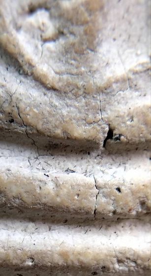 พระสมเด็จวัดระฆัง บางขุนพรหม เกศไชโย หลวงปู่ภู หลวงปู่นาค รูปที่ 5