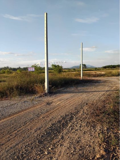 ใช่ ที่เปล่าถมแล้ว รูปที่ 3