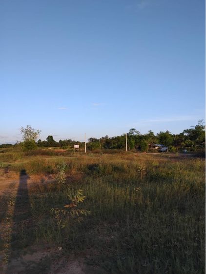 ใช่ ที่เปล่าถมแล้ว รูปที่ 2