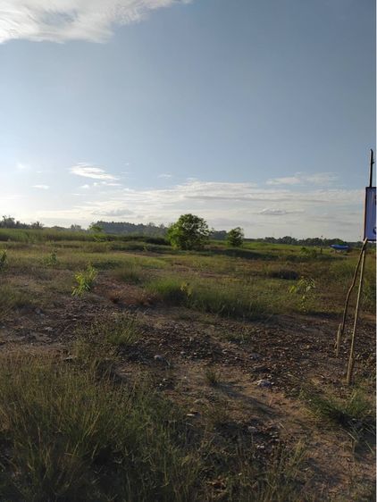 ใช่ ที่เปล่าถมแล้ว รูปที่ 4