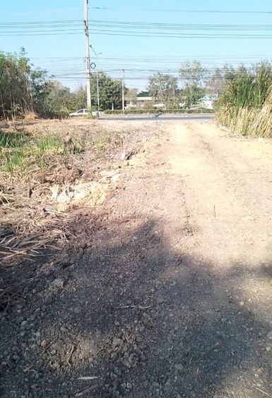 ที่ดินสวยพระพุทธบาท 99 ตารางวาตรงข้ามโรงเรียนสุธีใกล้ศูนราชการสี่แสน รูปที่ 3