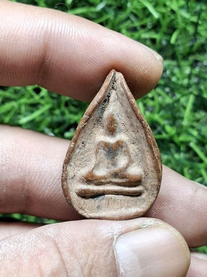 กลีบบัวเก่าไม่รู้ที่