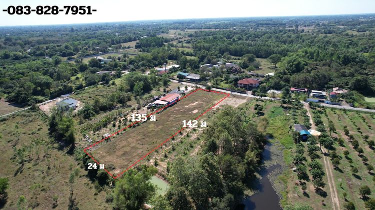 ที่ดิน 2 ไร่ มีโฉนด ถมนานเต็มพื้นที่ อ.บ้านนา เห็นวิวเขาชัด ขายถูก รูปที่ 3