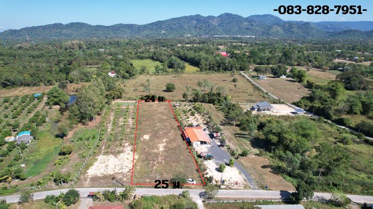 ที่ดิน 2 ไร่ มีโฉนด ถมนานเต็มพื้นที่ อ.บ้านนา เห็นวิวเขาชัด ขายถูก