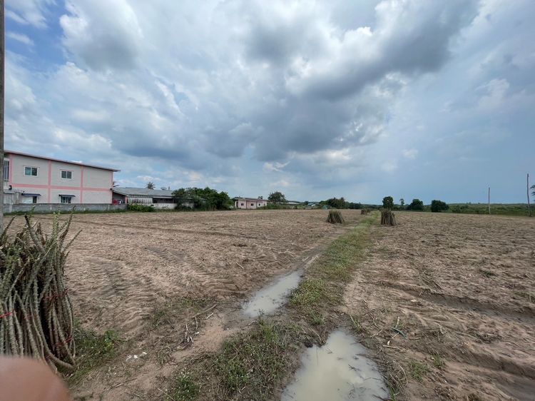 ขายที่ดิน 25 ไร่  ม่วงลาย  ต.นิคมพัฒนา  จ.ระยอง รูปที่ 3