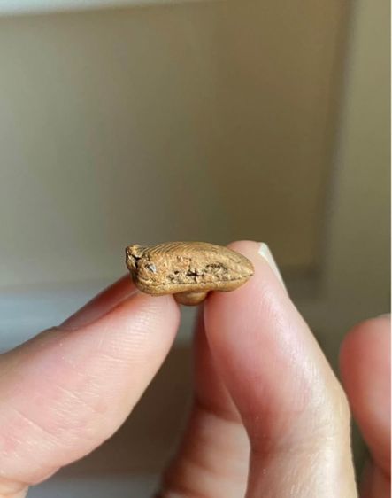 พระเชตุพน รูปที่ 5