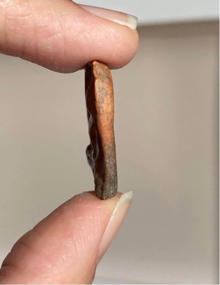 พระกำแพงซุ้มกอ รูปที่ 3