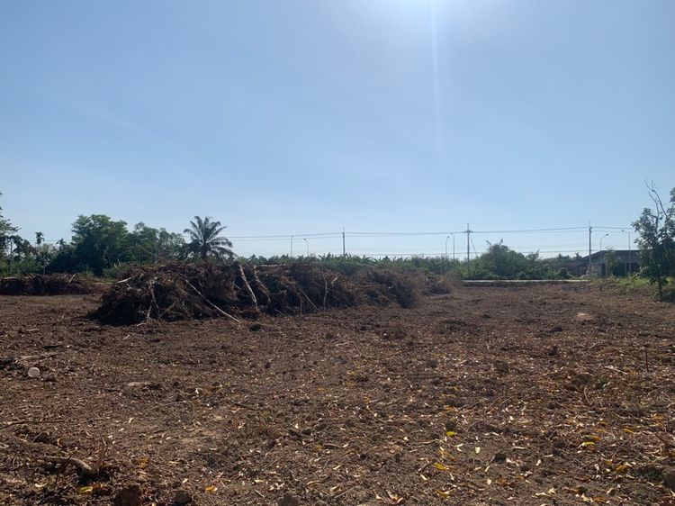 ไม่ใช่ ที่ดินทำเลสวย 2ไร่ รูปที่ 3