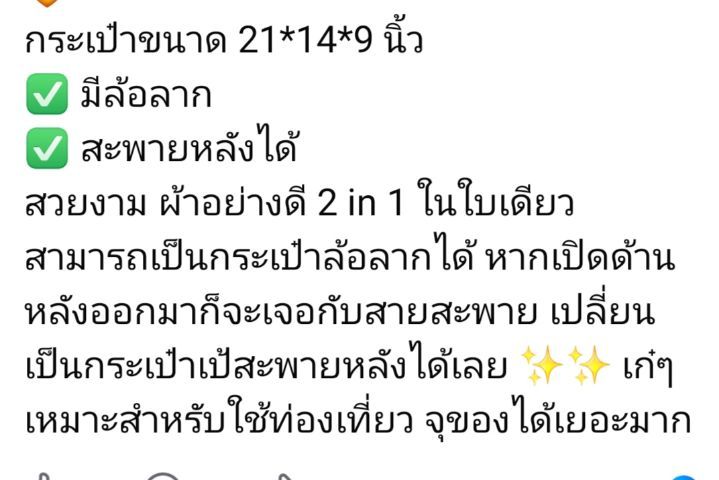 กระเป๋าเดินทางล้อลากแบบเป้ รูปที่ 2