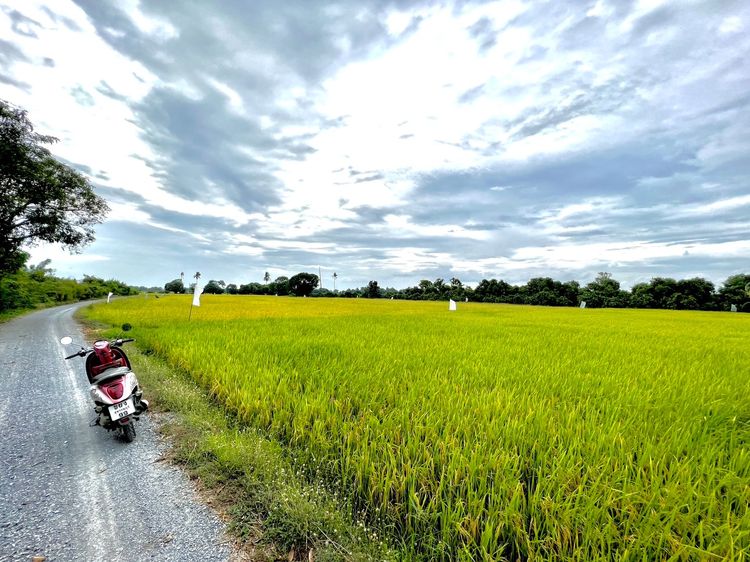 ที่ดินเมืองสุพรรณบุรี รูปที่ 2