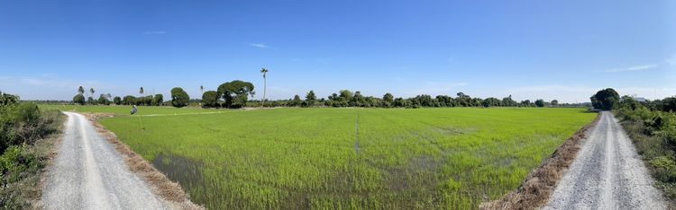 ที่ดินเมืองสุพรรณบุรี