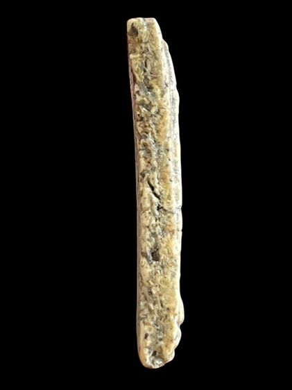 พระสมเด็จวัดระฆังพิมพ์ใหญ่สวย รูปที่ 3