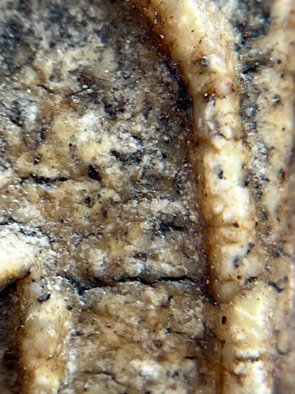 พระสมเด็จวัดระฆังพิมพ์ใหญ่สวย รูปที่ 9