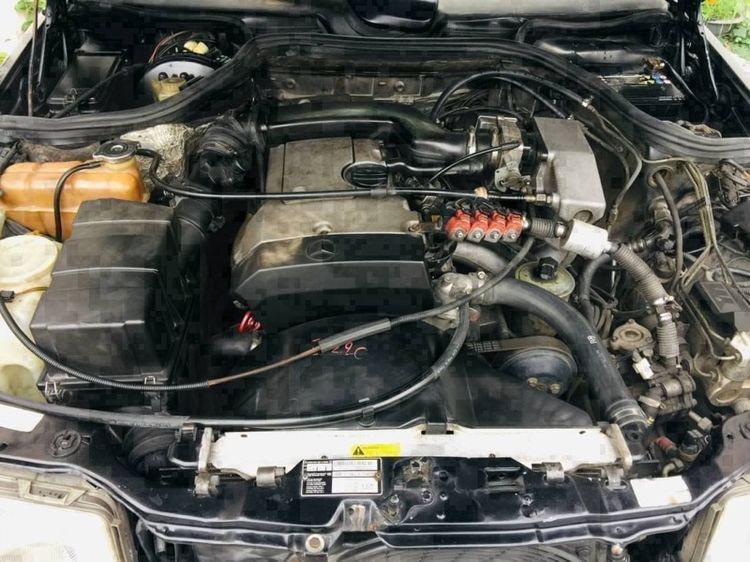 ทะเบียนสวย ทะเบียนมงคล รูปที่ 11