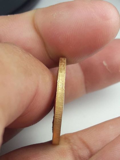 d เหรียญปีนักษัตร รูปที่ 3