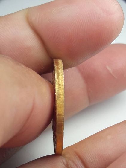 d เหรียญปีนักษัตร รูปที่ 2