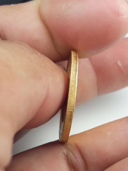 d เหรียญปีนักษัตร รูปที่ 4