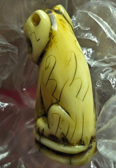 เสืออ้าปาก มหาอำนาจ รูปที่ 3