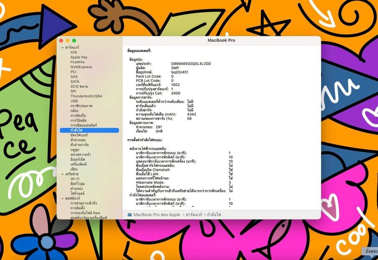 MacBook Pro (13-inch 2019 Two Thunderbolt 3 ports) Ram8gb SSD256gb SpaceGray  รูปที่ 14