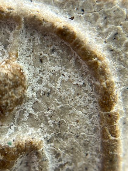 พระสมเด็จวัดระฆังพิมพ์ใหญ่ฐานโรยพระธาตุ รูปที่ 9