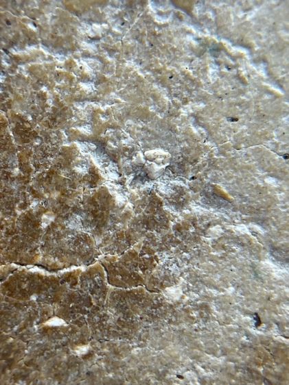 พระสมเด็จวัดระฆังพิมพ์ใหญ่ฐานโรยพระธาตุ รูปที่ 14