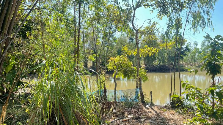 ขายที่ดินทำเลดี ราคาคุ้มค่า ตำบลเซิม อำเภอ โพนพิสัย จังหวัด หนองคาย เหมาะสำหรับทำการเกษตร ปลูกพืช ทำสวน หรือเลี้ยงสัตว์ รูปที่ 3